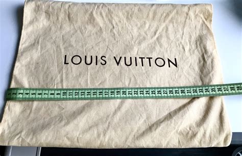 louis vuitton dust bag sizes|translucent louis vuitton bag.